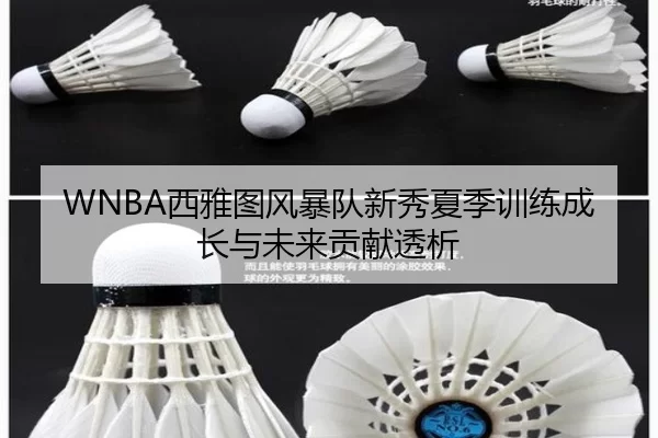 WNBA西雅图风暴队新秀夏季训练成长与未来贡献透析